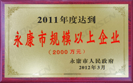 Empresa de la ciudad de Yongkang con una facturación anual superior a 20 millones de RMB, 2011